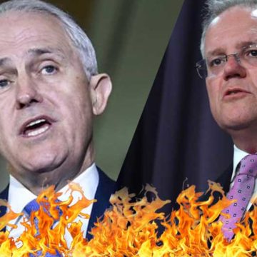 Malcolm Turnbull attacks Scott Morrison over handling of bushfire crisis