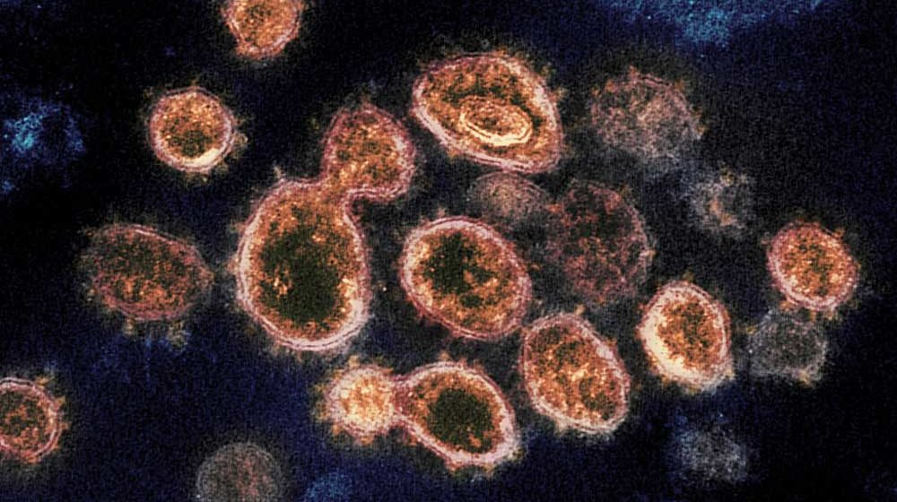 Worldwide Covid-19 cases surpass 25 million as pandemic affects more countries