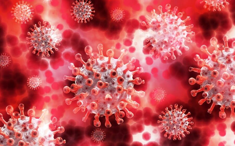 Over 200,000 Americans have now died of the coronavirus