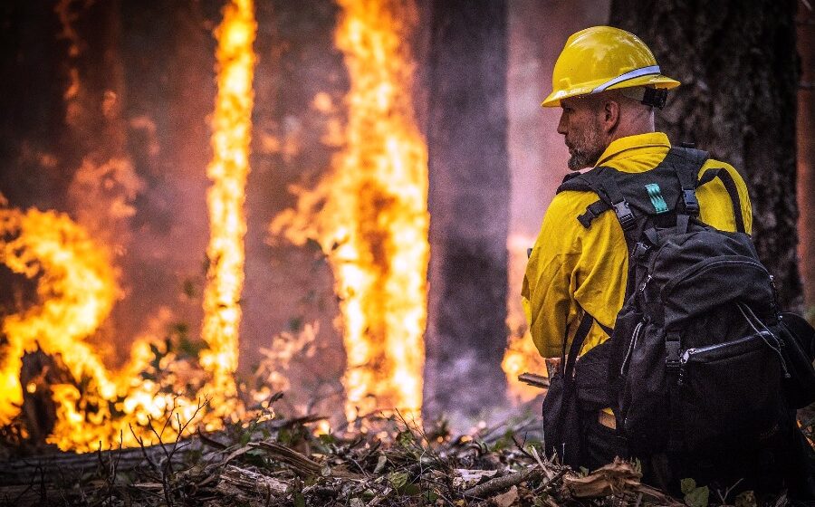 US wildfires death toll rise, continue to ravage West Coast states