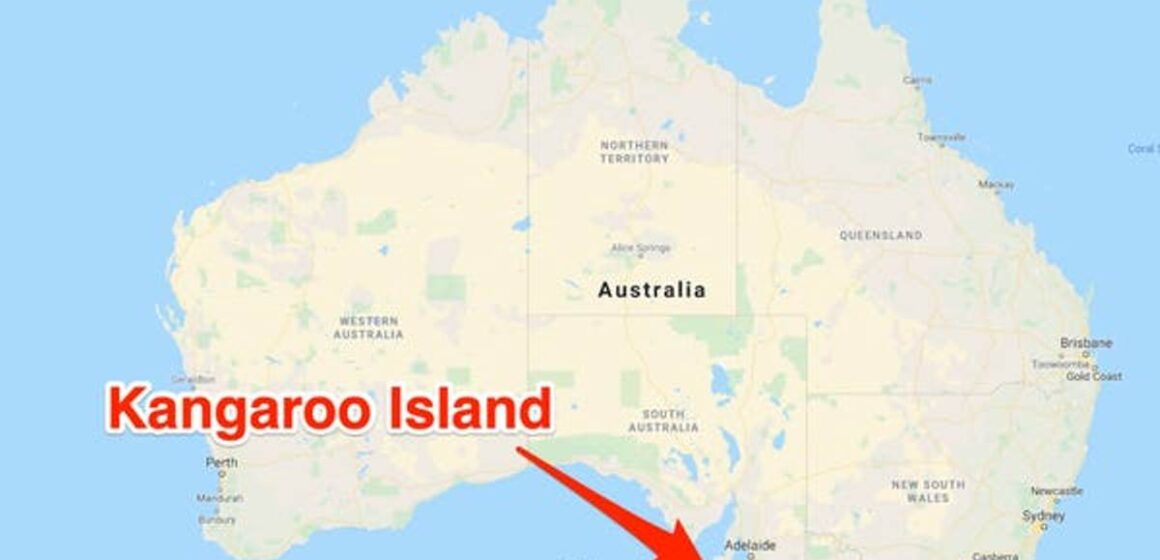 Two sailors still missing after boat vanishes off Kangaroo Island