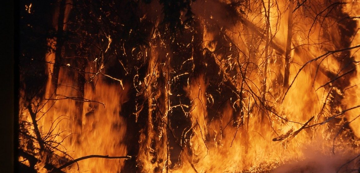 Onset of La Niña climate system could lower Australian bushfire risk