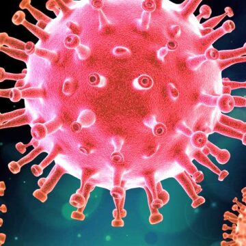 Coronavirus can survive for 28 days on surfaces, national science agency discovers