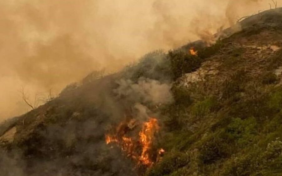 Bushfire spreads across popular Fraser Island