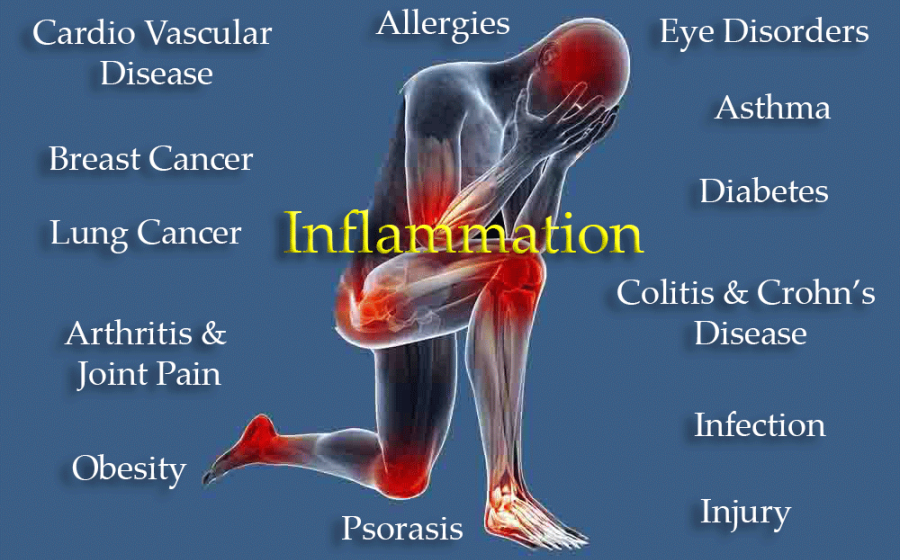 How To Reduce Inflammation and the Risk of Chronic Disease