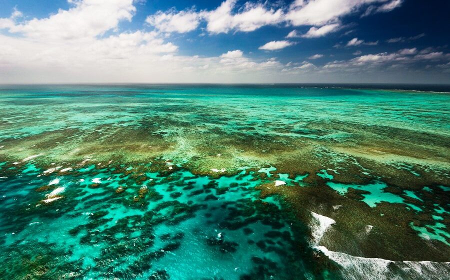 Barrier Reef stays off UN ‘in danger’ list