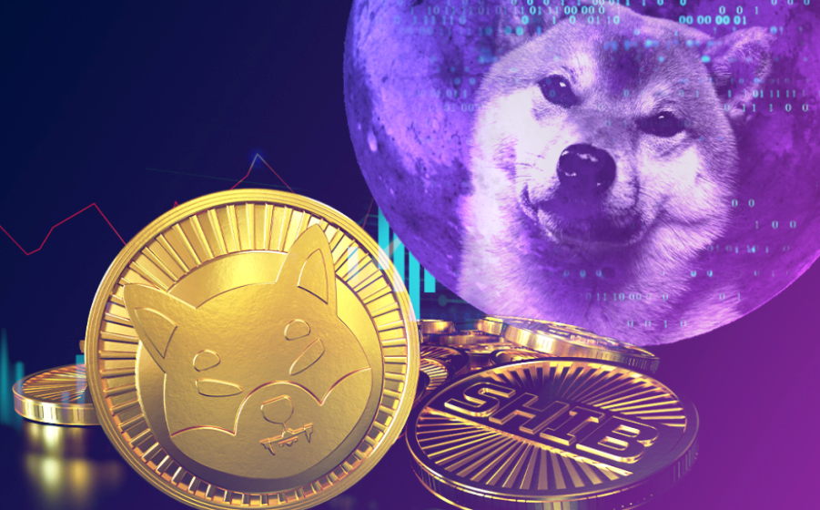 Shiba Inu the largest ERC-20 holding among ETH whales