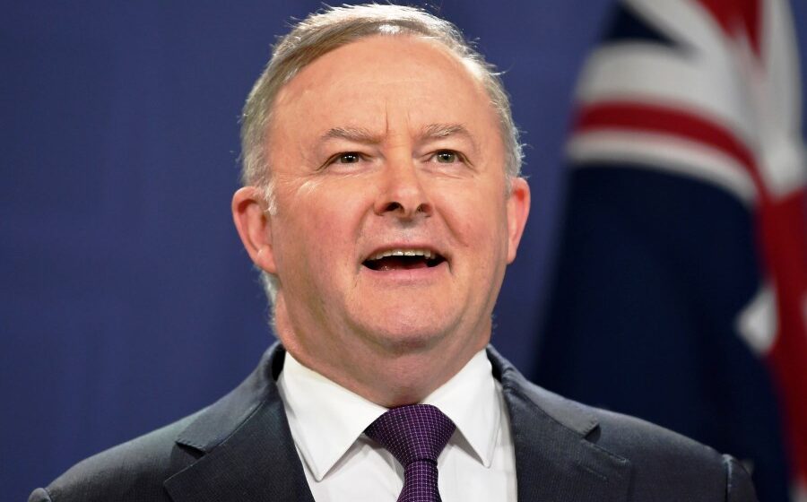 Voters throw support behind Anthony Albanese in latest Newspoll