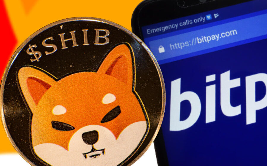Shiba Inu Becomes The Most Popular Crypto In 2021