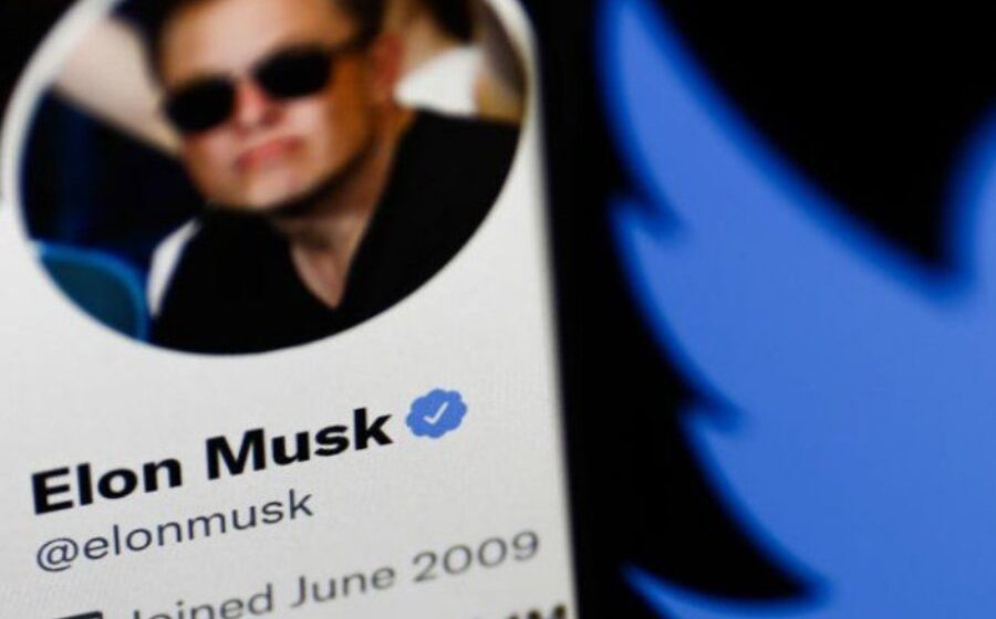 The Shadow Crew Who Encouraged Elon Musk’s Twitter Takeover