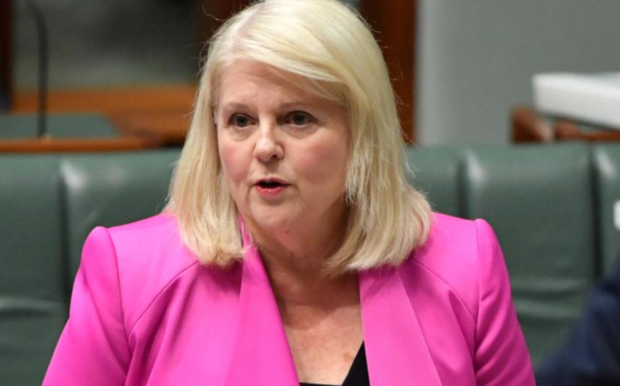 Karen Andrews criticises government for ‘being asleep at the wheel’ on cybersecurity following the attack on Optus