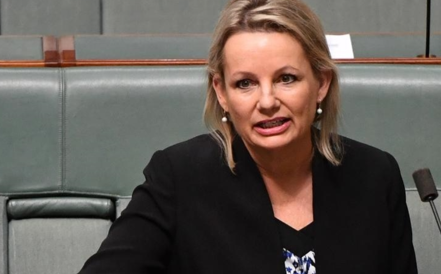 ‘Not good enough’: Deputy Liberal leader Sussan Ley unsatisfied about Anthony Albanese’s position on stage three tax cuts