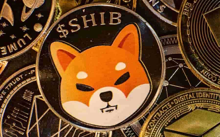 How does Shiba Inu crypto compare to other popular cryptocurrencies?